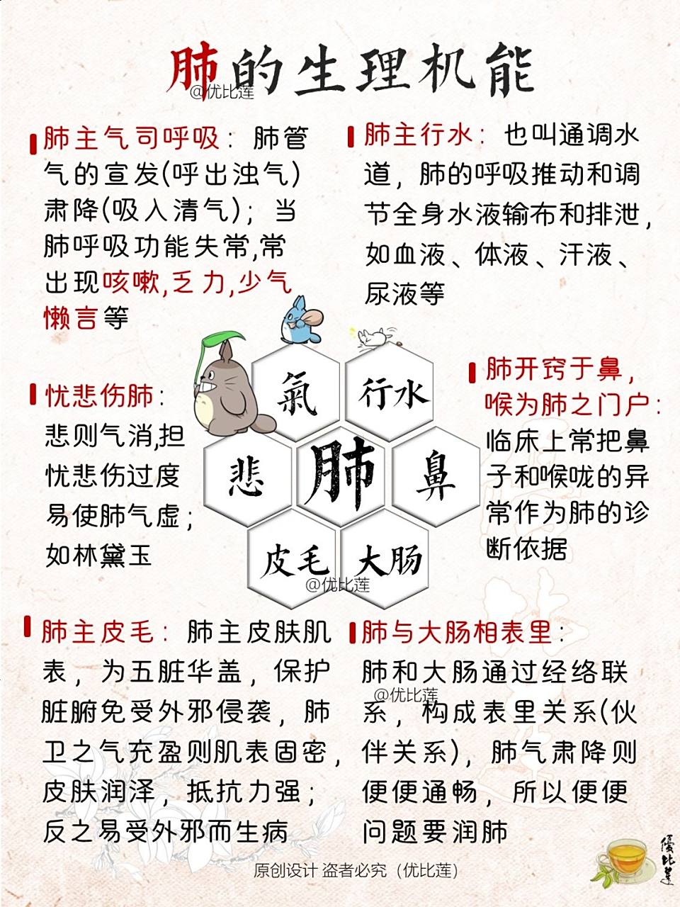 肺的生理机能&养肺攻略93166肺主气司呼吸:肺管气的宣发(呼出浊气