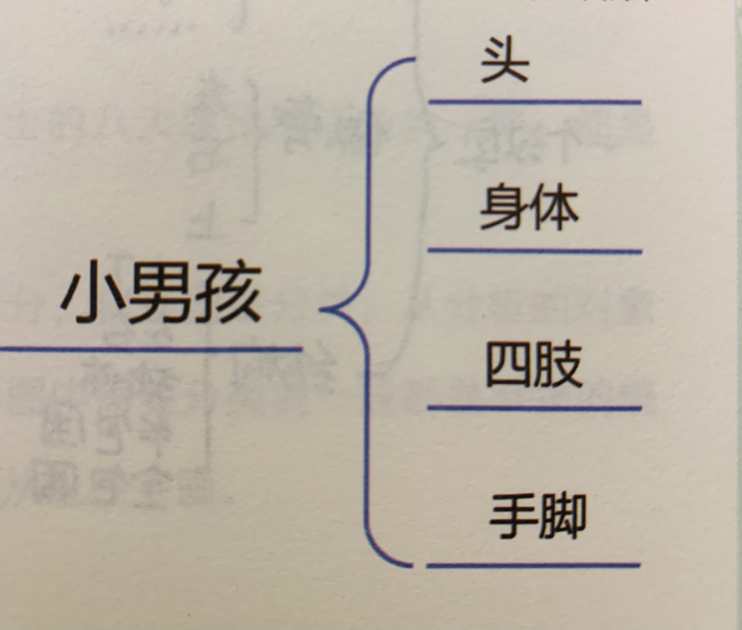 括号图——分清事物的整体和部分的关系 我九岁的侄子,聪明伶俐,特别