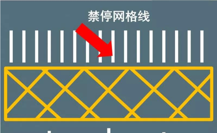 交通标识地标线