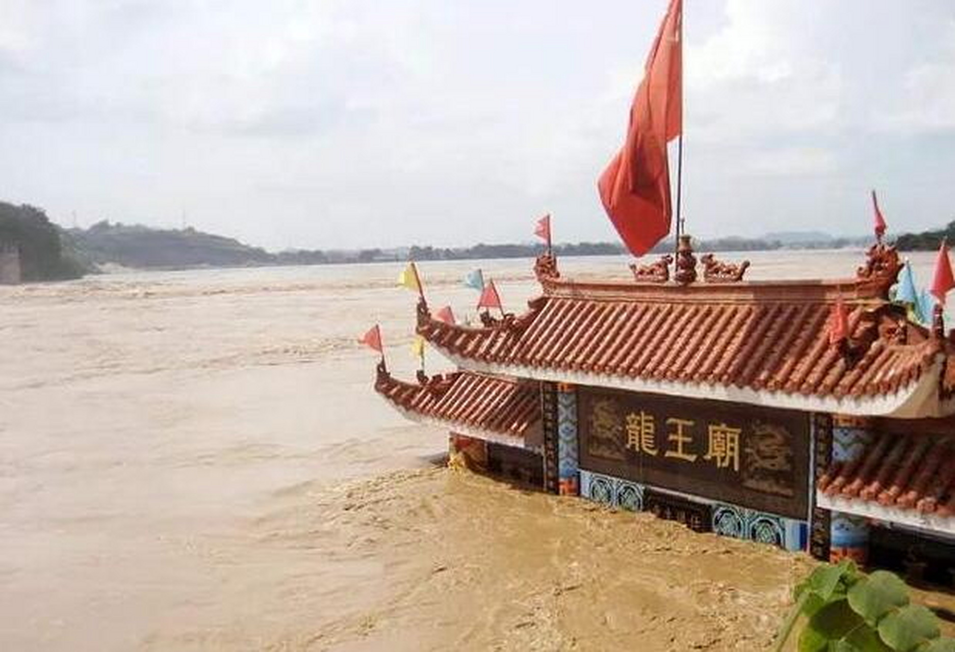 大水冲了龙图片