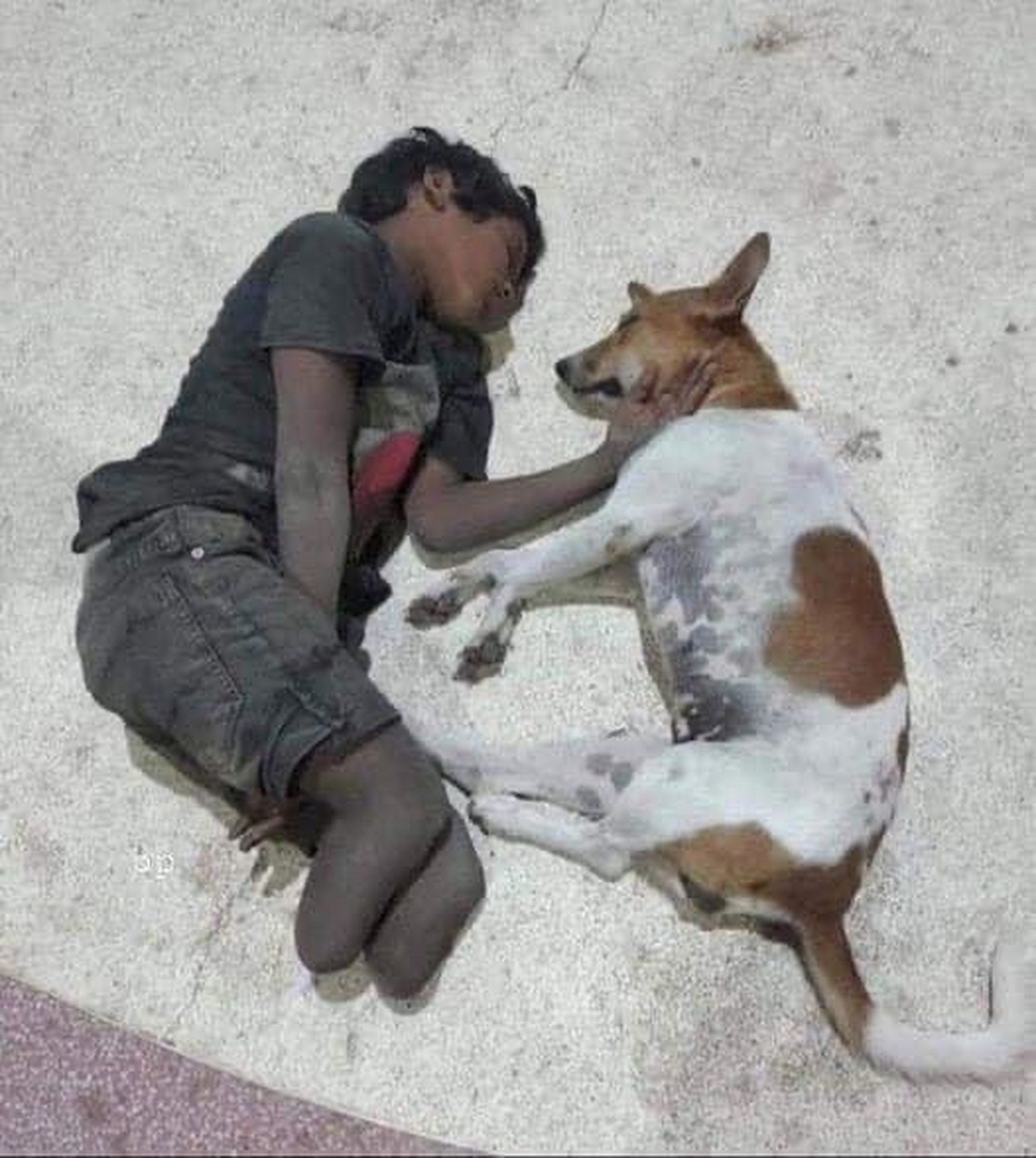 无家可归的断腿孩子跟他唯一的好朋友,看着让人心酸[不高兴]