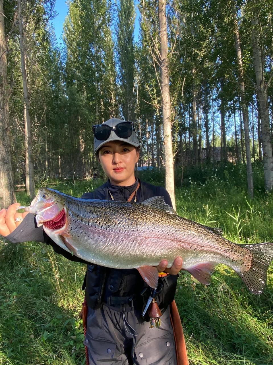 虹鳟鱼,又名硬头鳟.