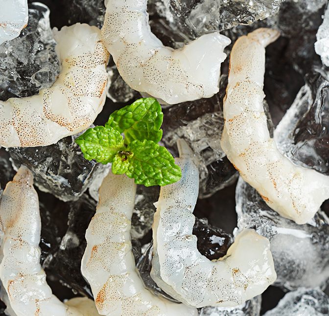 人造虾仁有什么营养价值呢