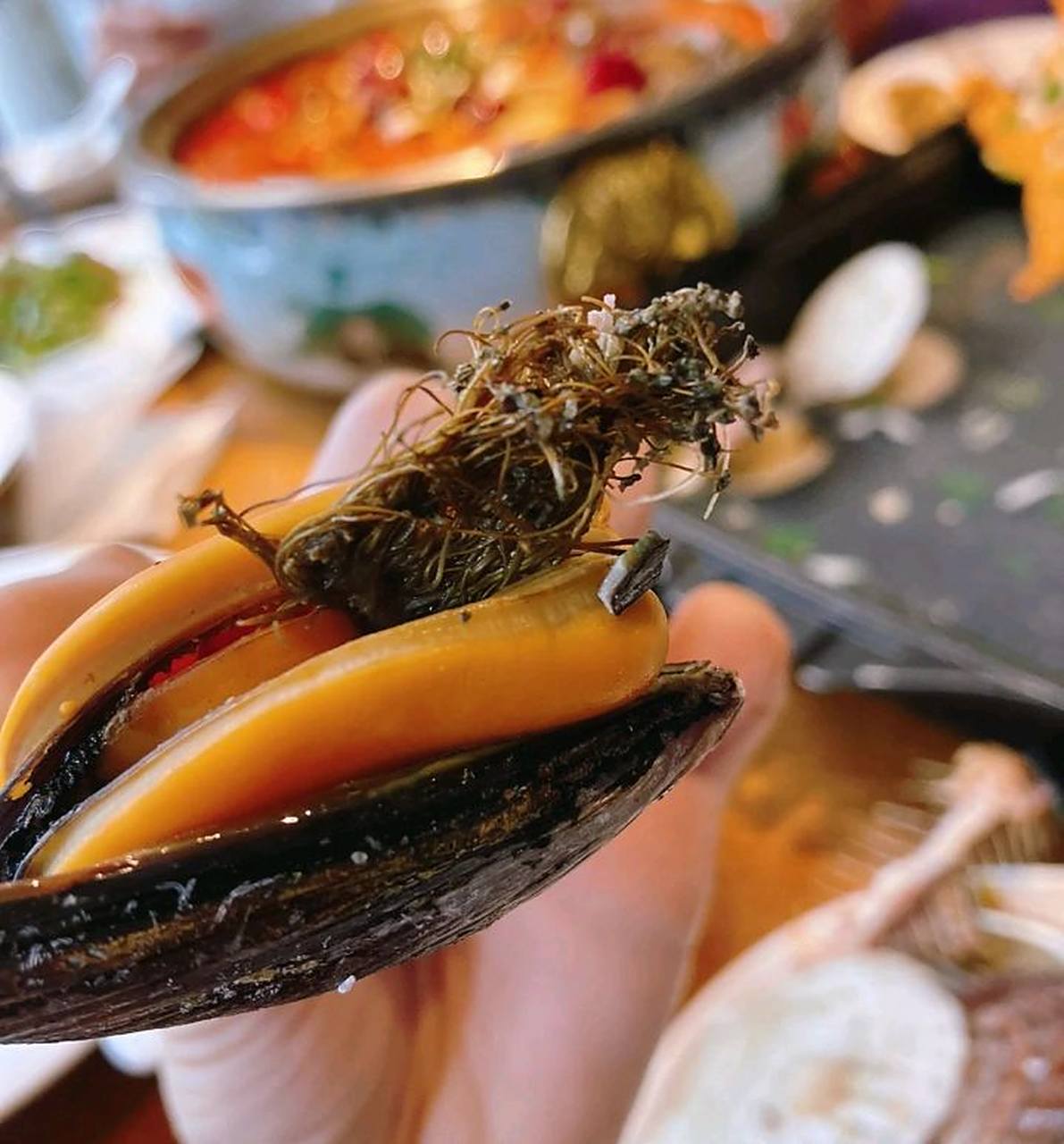 原来这是海虹的足丝,我一直以为是海草