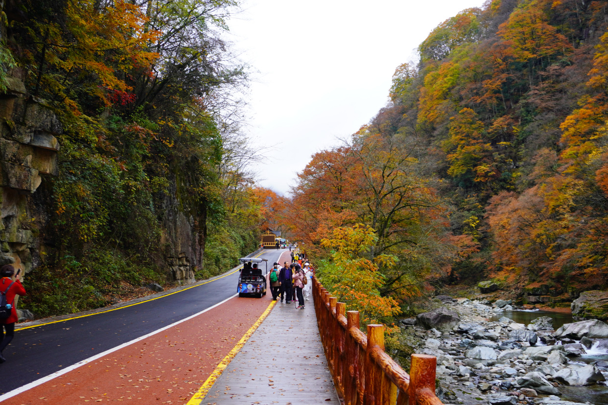 光雾山米仓山风景