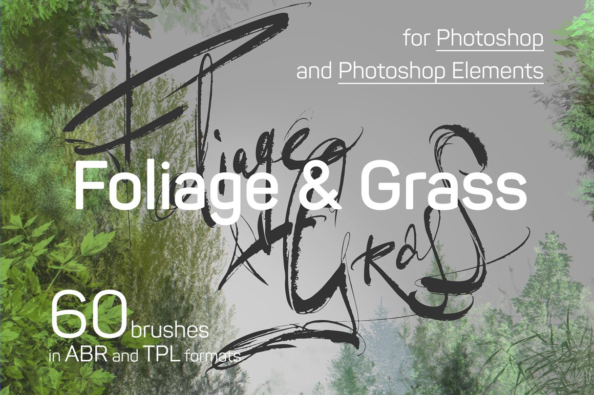 60 Photoshop Foliage.jpg