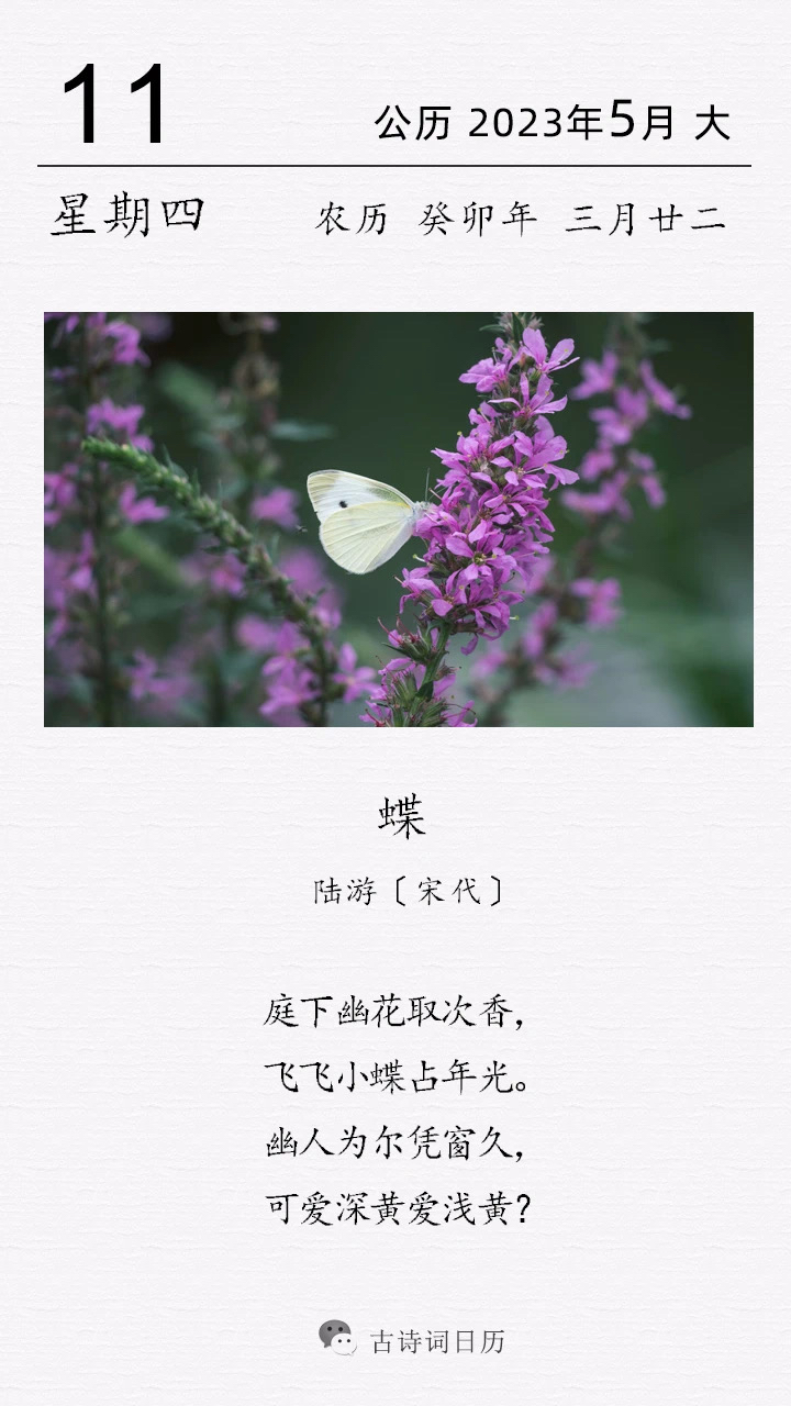 蝴蝶,是春夏之间的美丽使者,一般喜欢在暮春到初夏间活动,被人们誉为