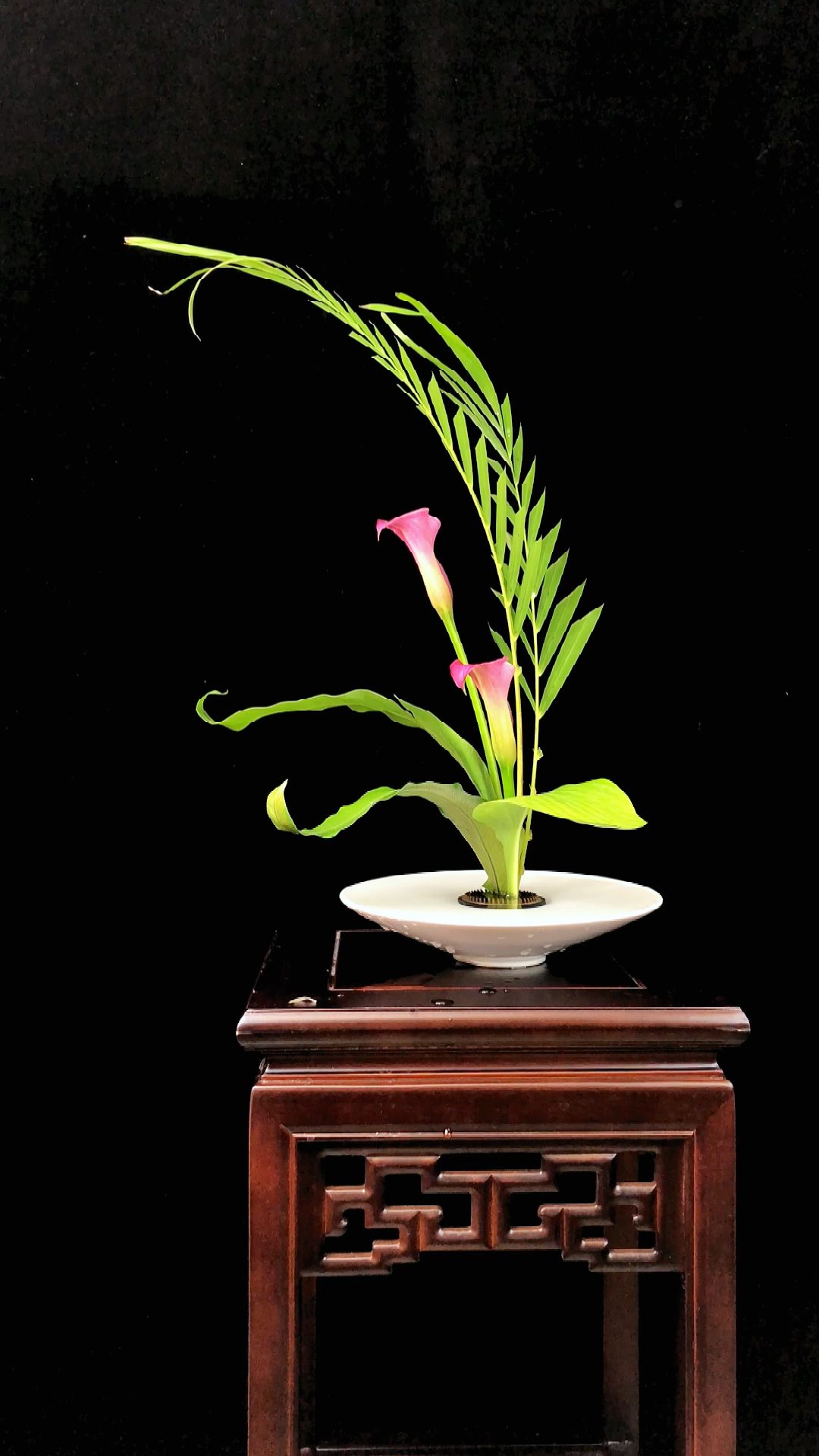 新中式碗花直立型创作步骤#东方插花-度小视