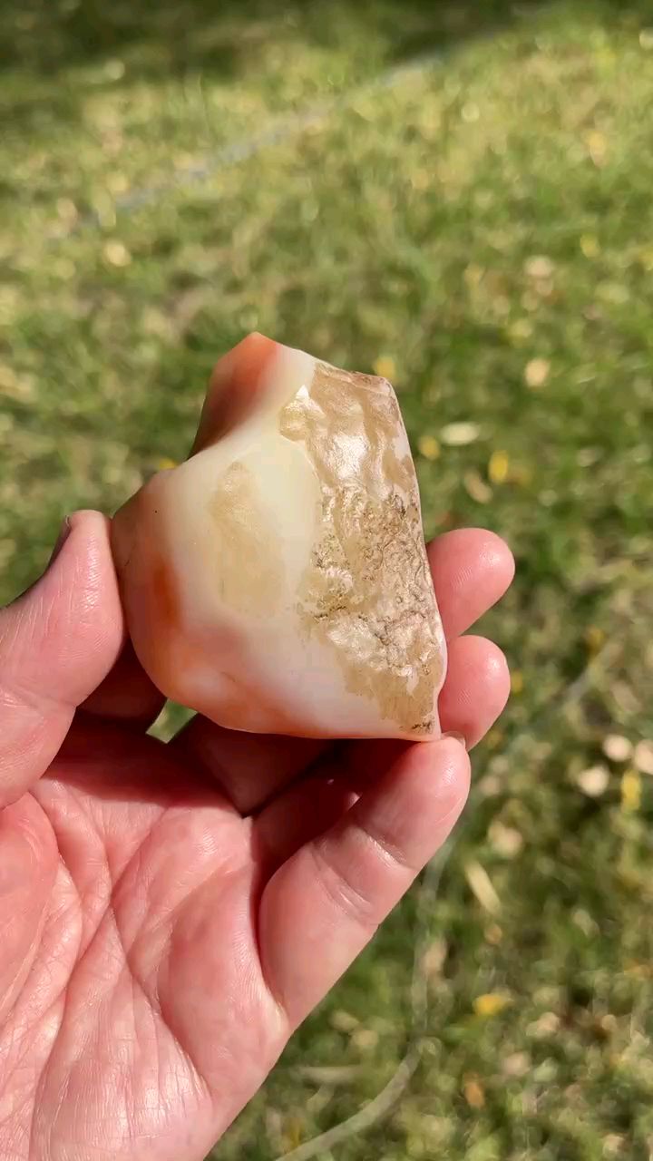 新疆若羌沙漠漆