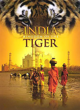 印度：老虎王国彩