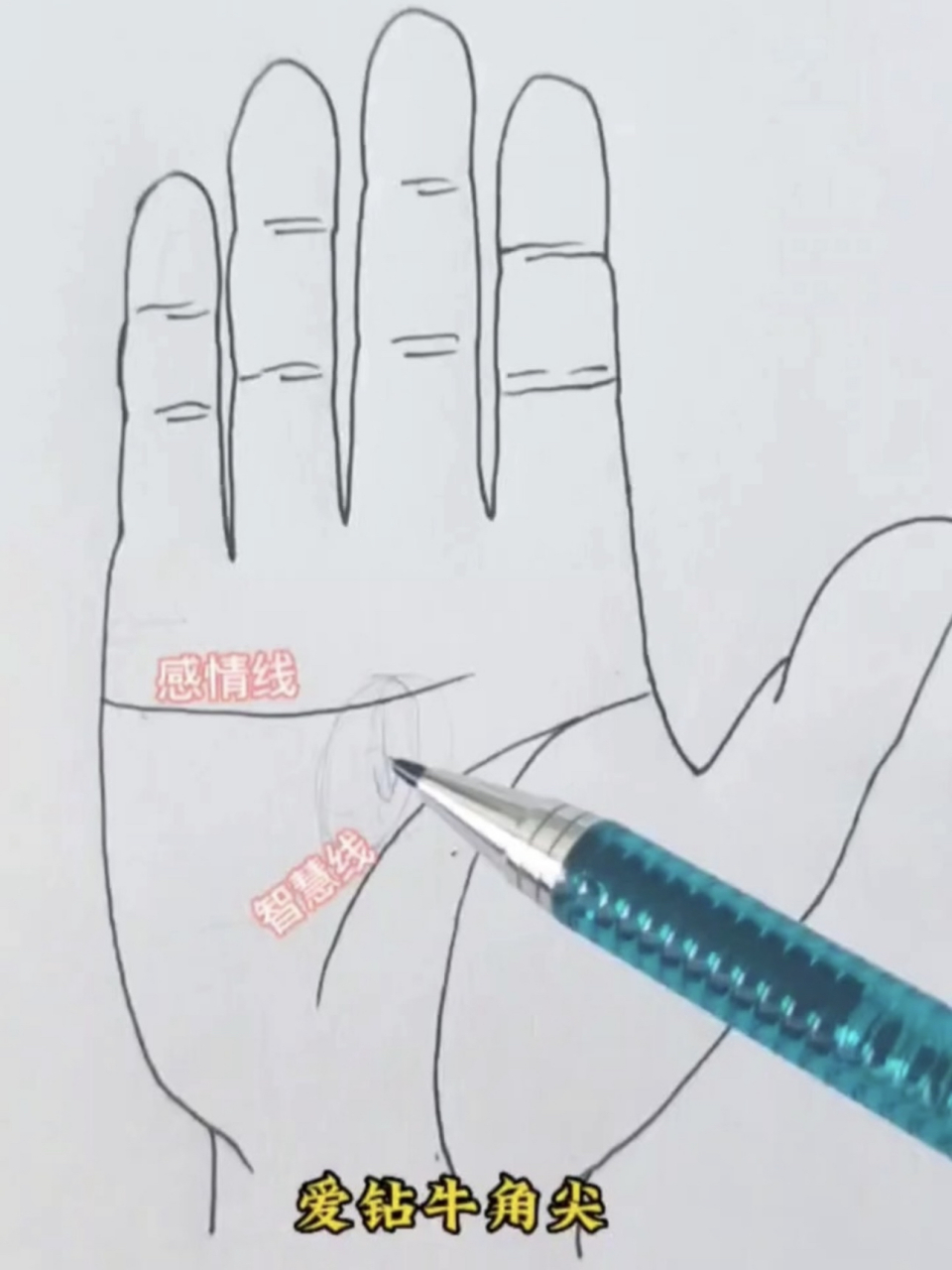 感情线和智慧线中间的这个距离,可以看出一个人心量的大小.