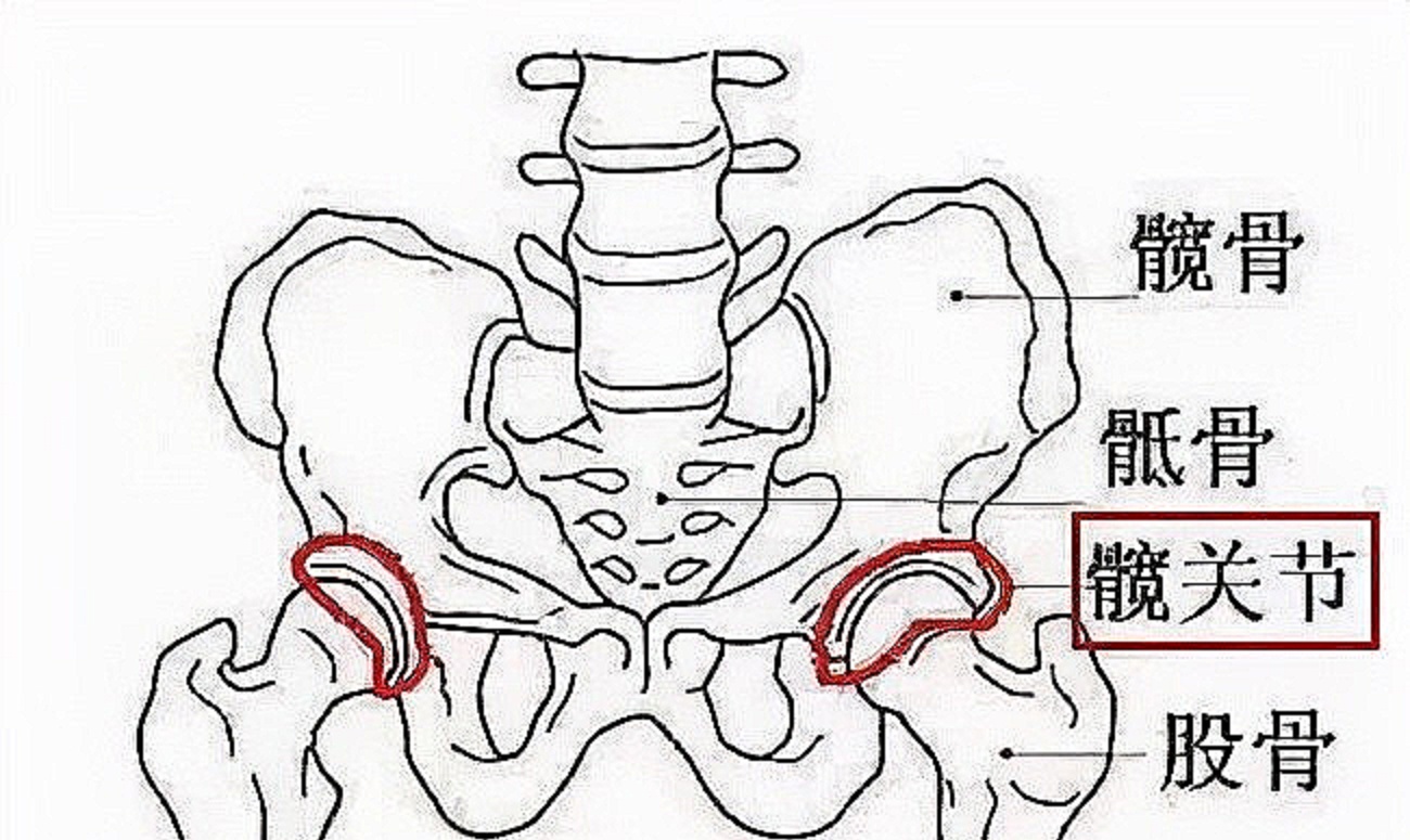 进阶跑步大神,从学会送髋开始