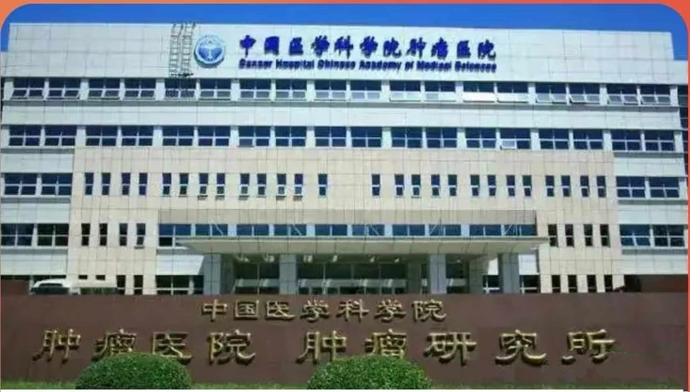 包含中國醫學科學院腫瘤醫院、昌平區黃牛掛號的詞條