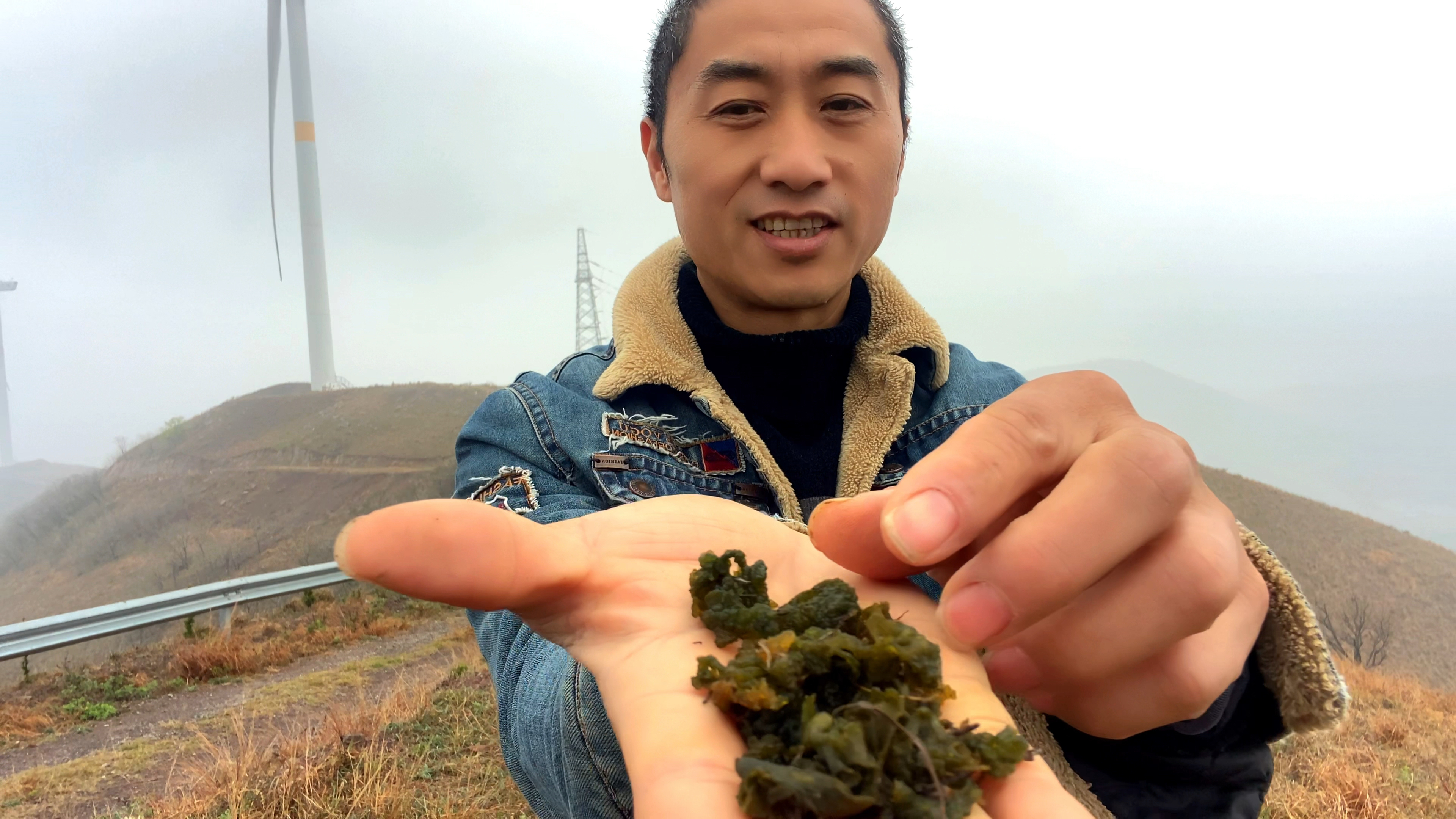 山坡上有一种野菜,叫地皮菜,你们吃过吗?