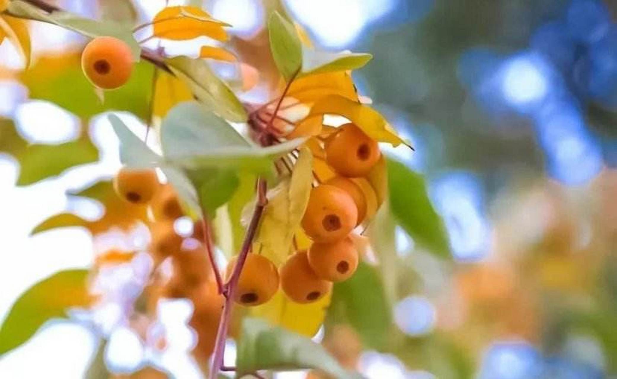 我的大学# 你或许会认为大学生活很枯燥,你不知道如何处理这么充椎哪