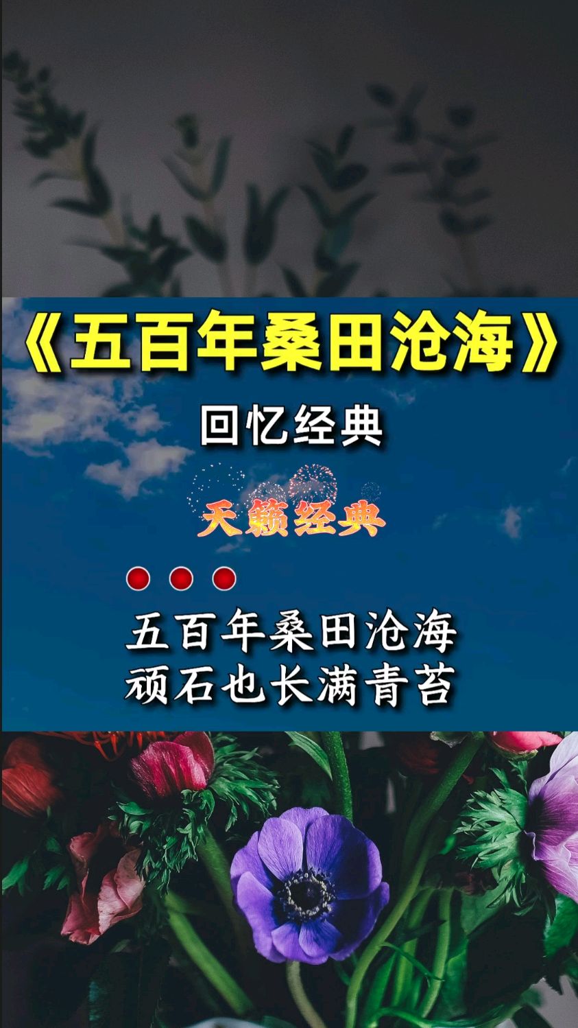 五百年桑田沧海