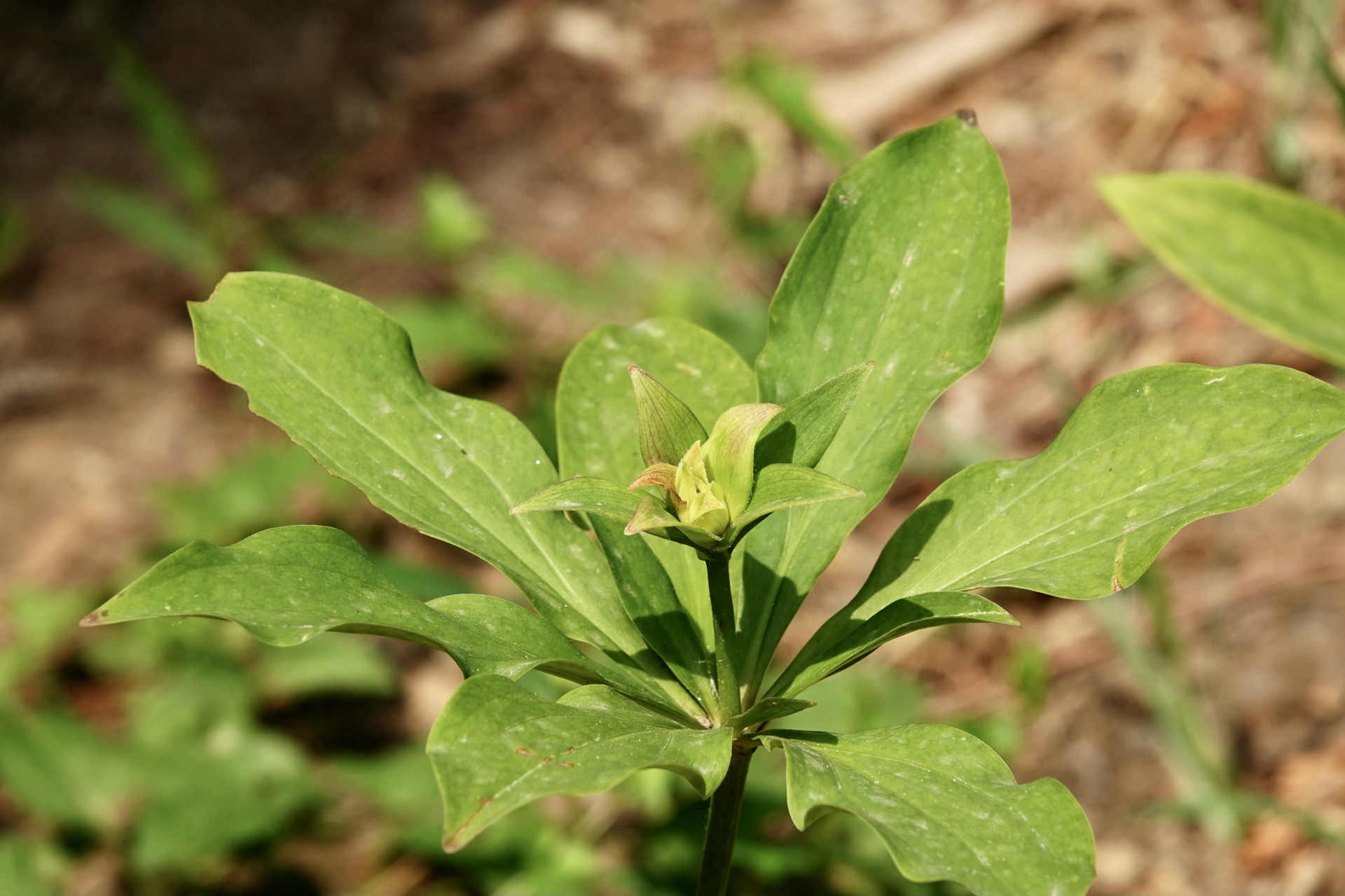 的缘分,向来是由许多的不经意拼凑而成,也让模糊的印象逐渐镌镂上心头