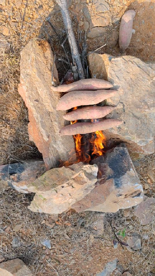 野外烤红薯,重温儿时乐趣