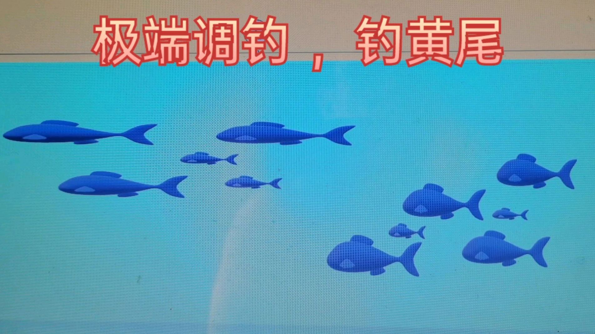 用两个极端钓法钓黄尾,会有很好的渔获