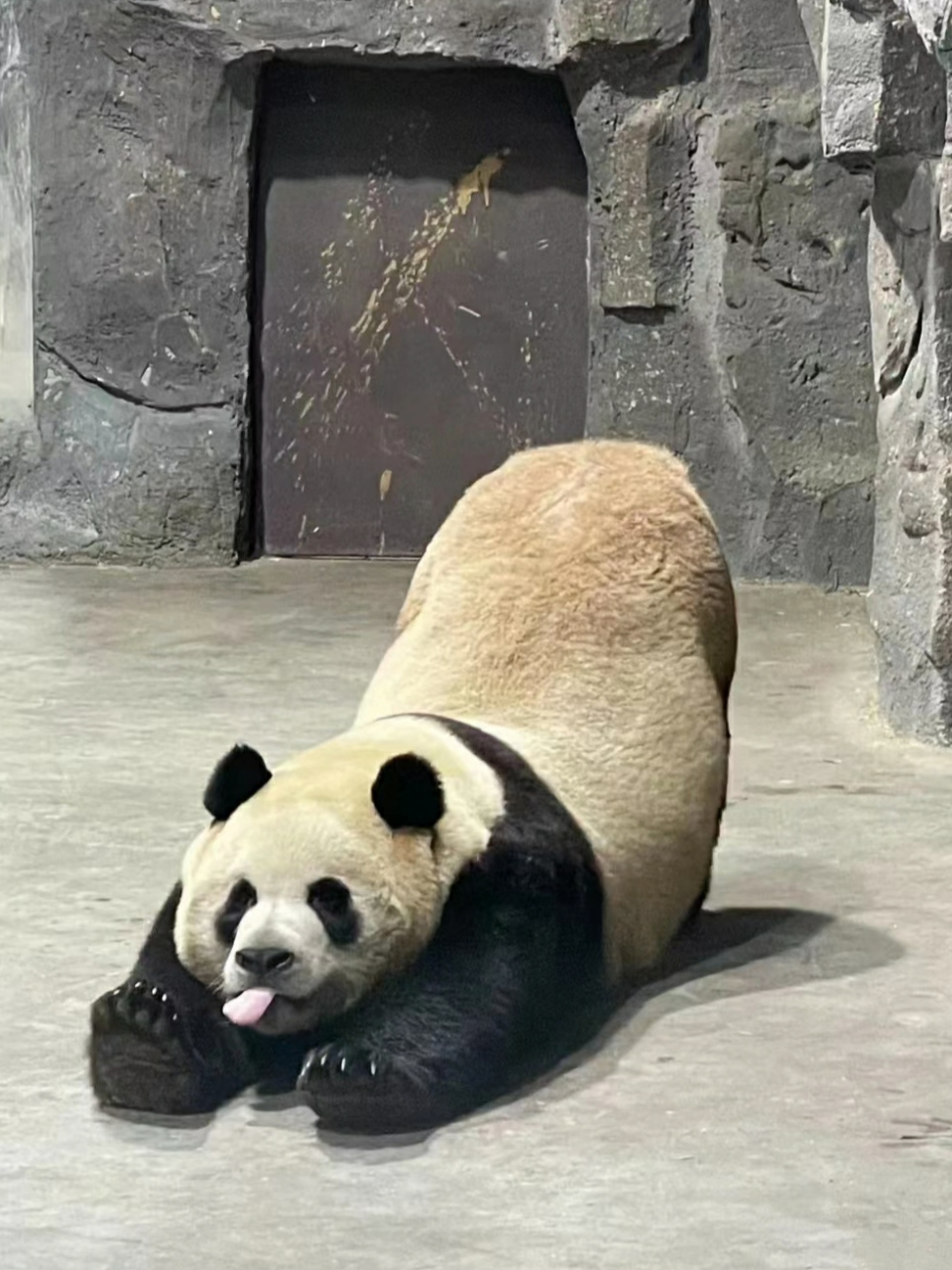 狂野男孩——灵岩[大哈]