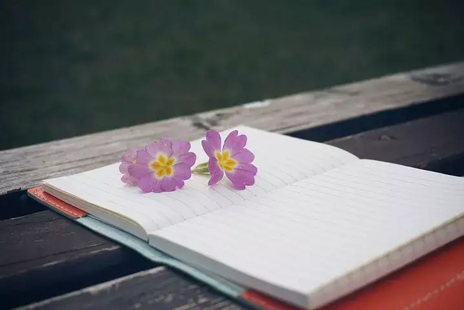 螃蟹在剥我的壳 笔记本在写我 漫天的我落在枫叶上雪花上 而你在想我