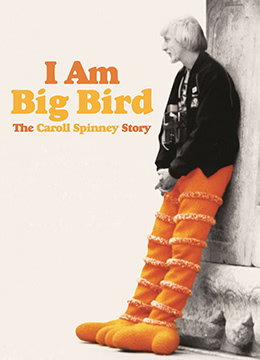 我是大鸟：卡洛尔·斯宾尼的故事彩