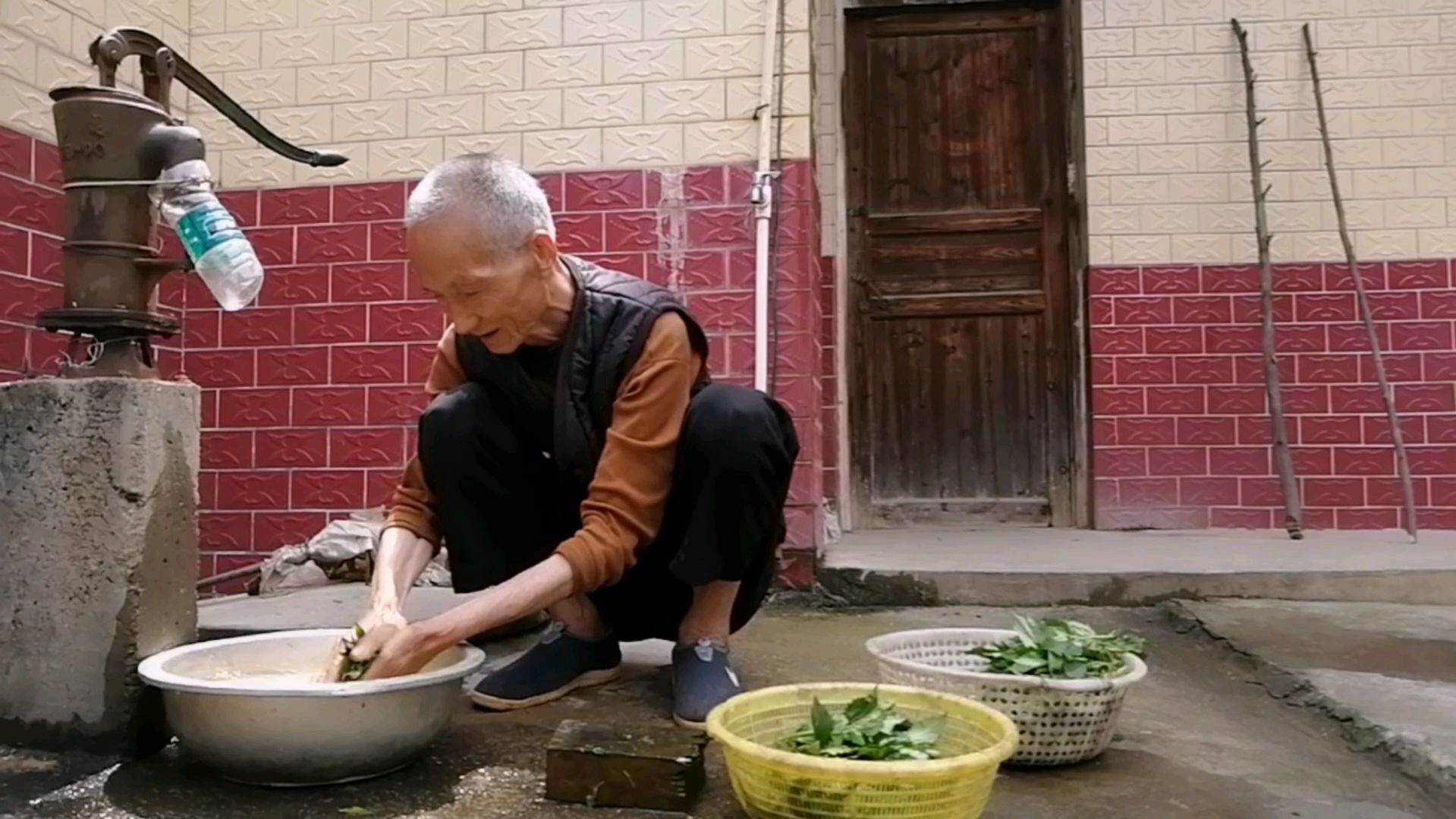 85岁爷爷的养生之道原来吃的是这种菜,大家吃过吗?