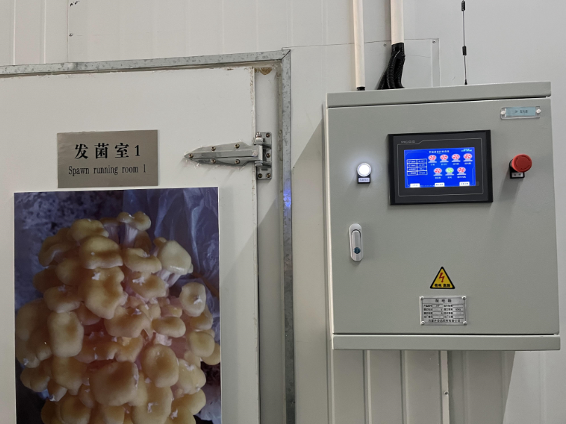 智慧菌菇环境测控系统"走进"东营市食用菌栽培重点实验室