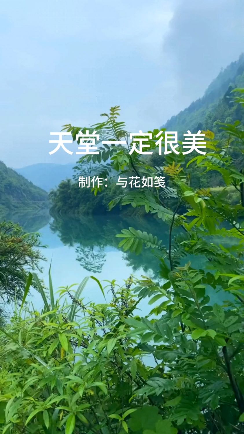 《天堂一定很美》歌曲分享