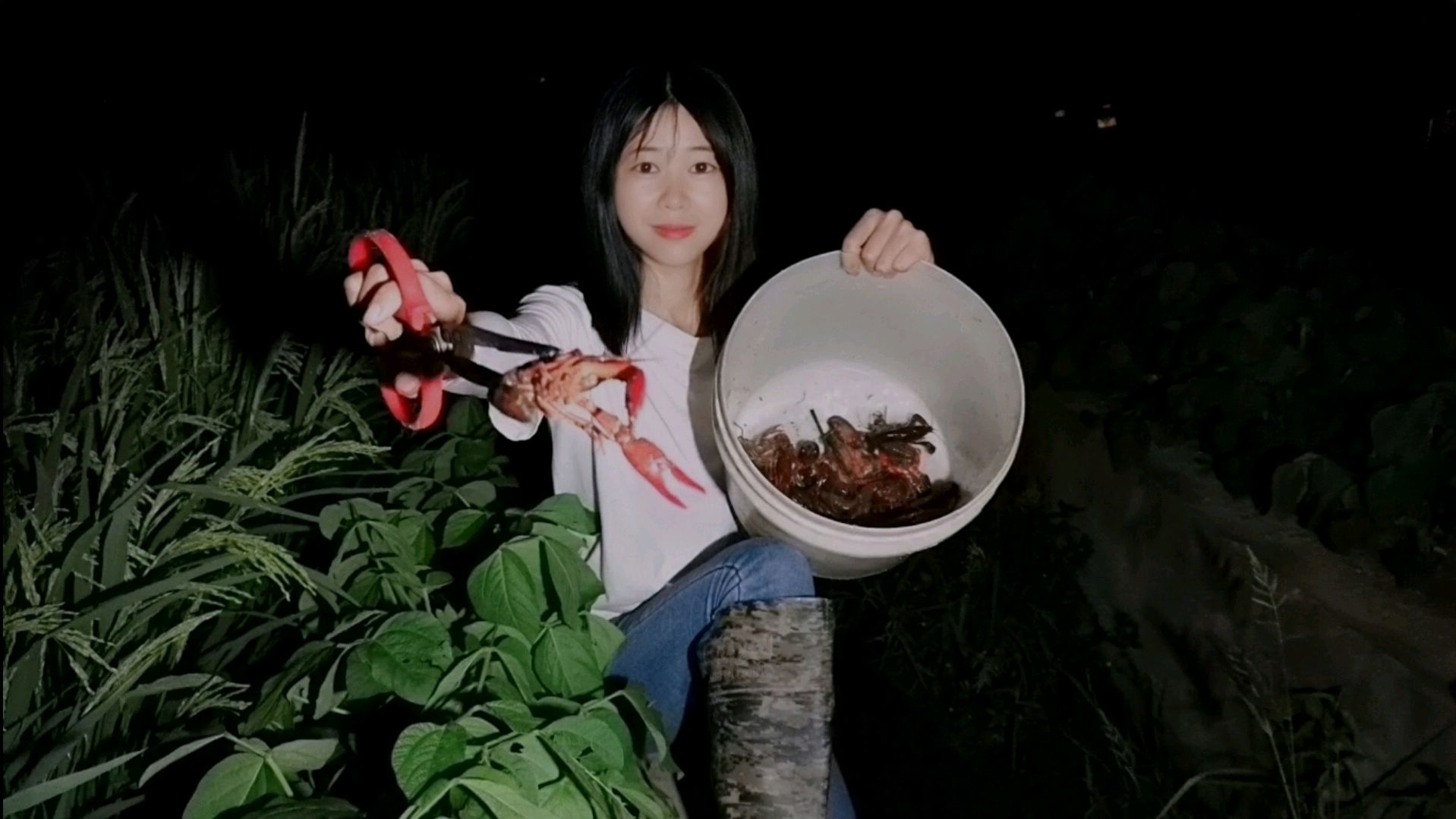 天气太热,龙虾半夜爬到水草上乘凉,妹子夹了一只又一只,真过瘾