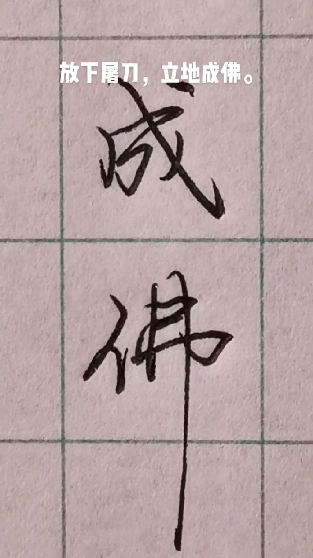 苦海无边回头是岸放下屠刀立地成佛硬笔行书