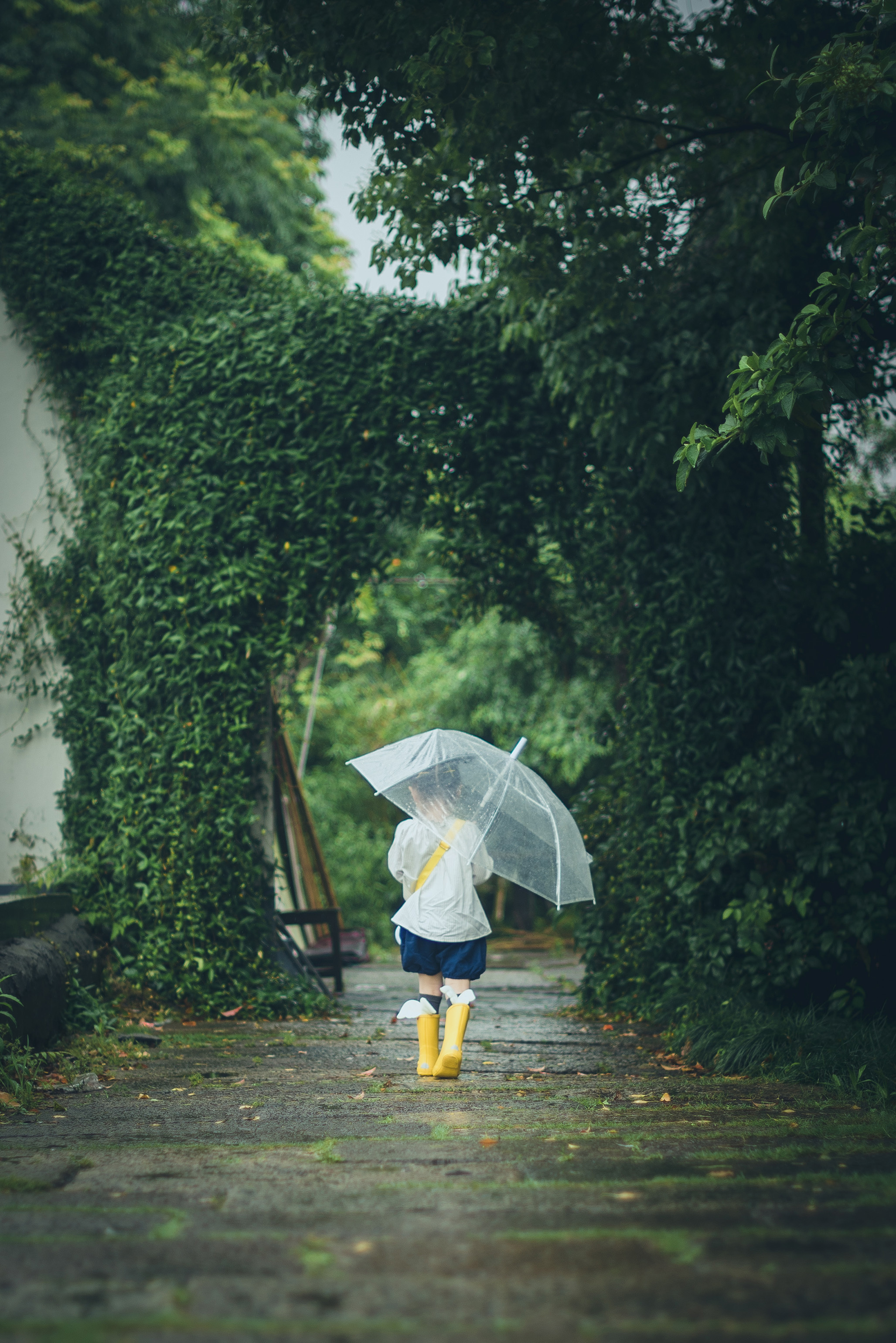 夏夜听雨,仿佛在听一首动听的轻音乐