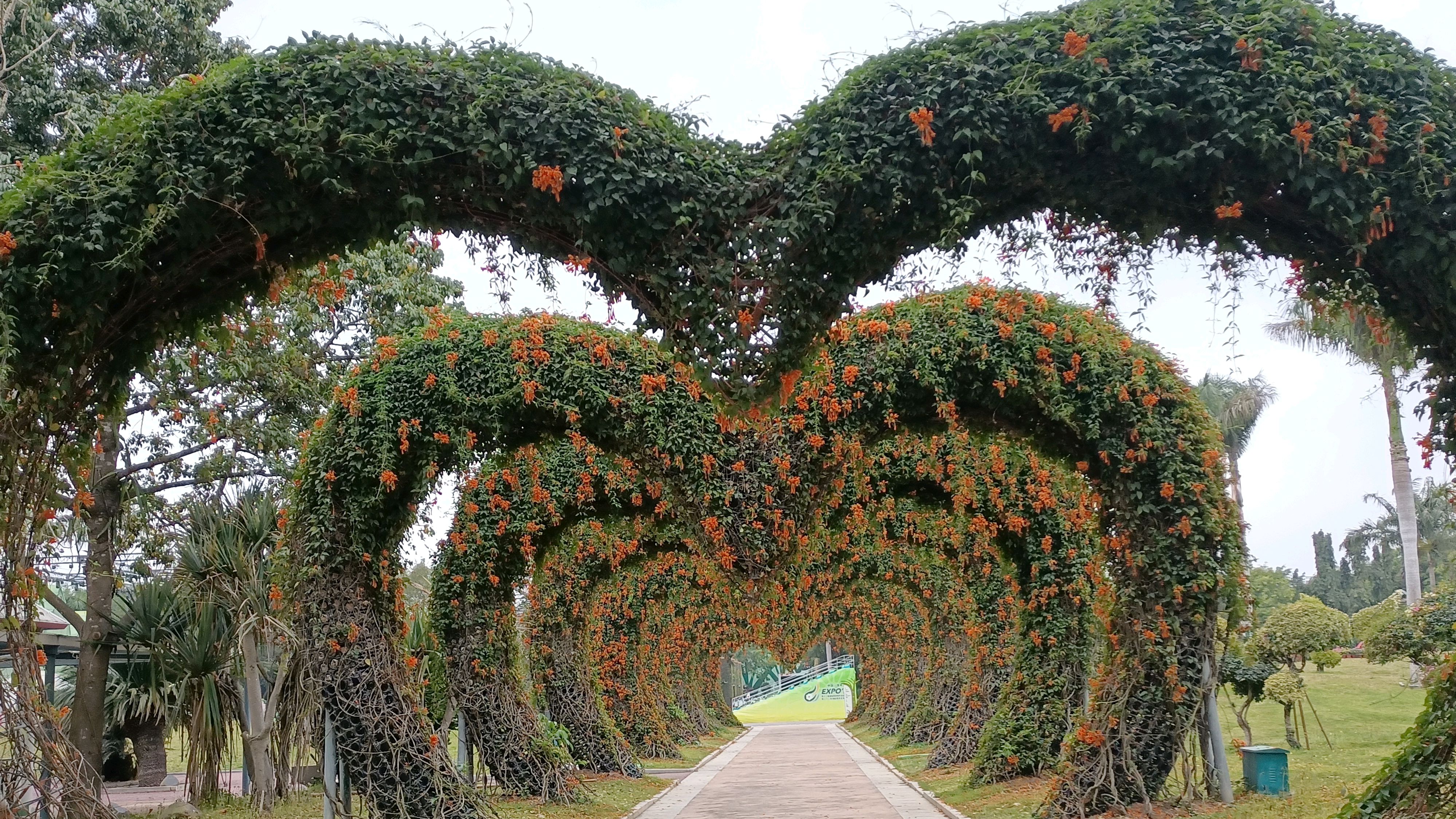 东南花都 景区图片