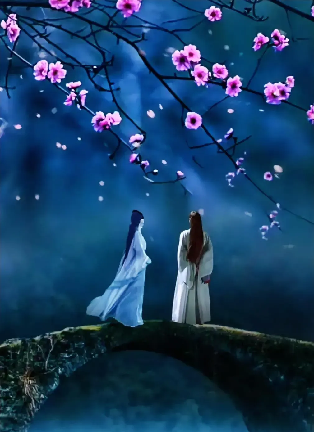 原文:我累了,心凉了; 古文:半身风雨半身伤,半句别恨半句凉