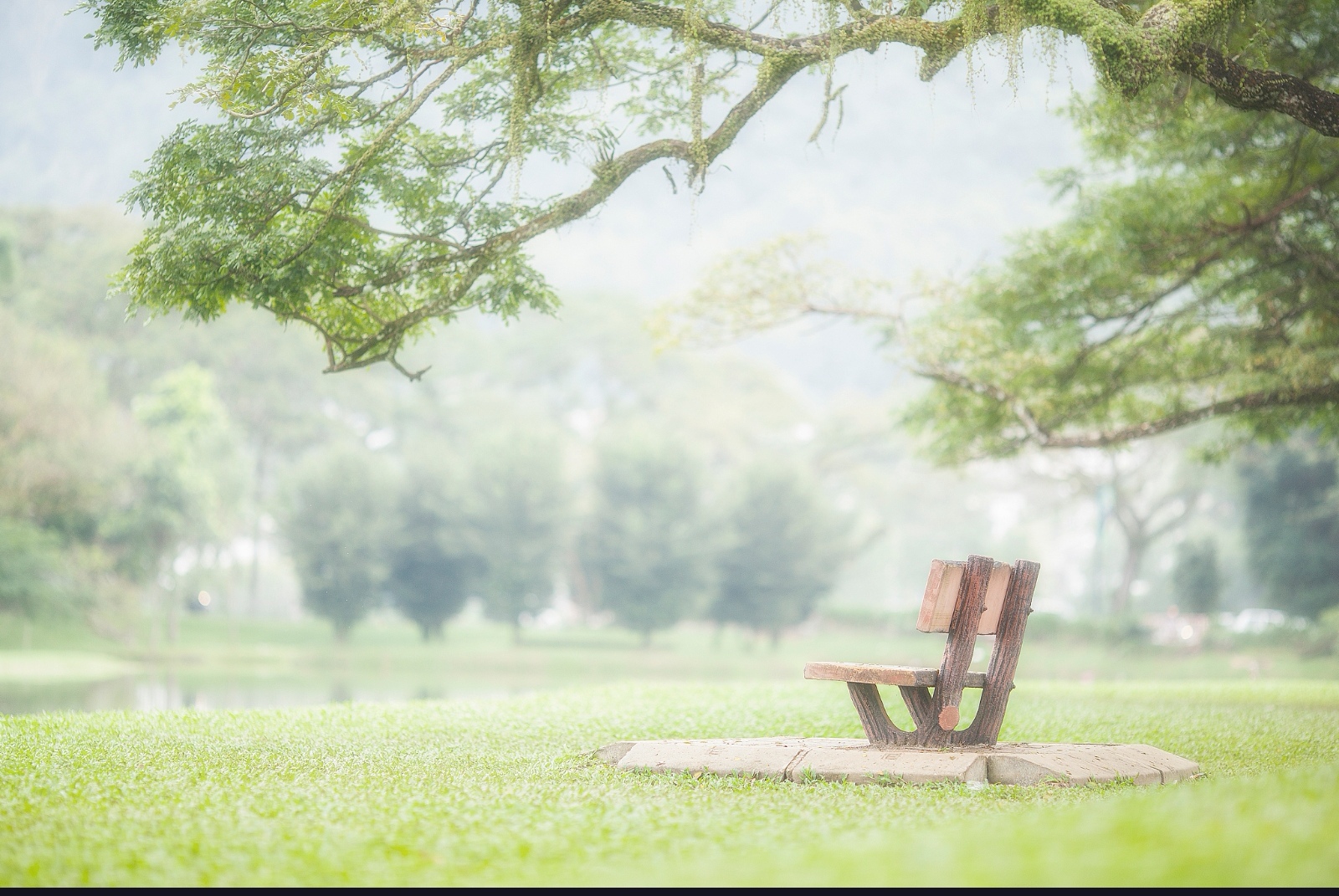 ai写诗:慵懒的夏季