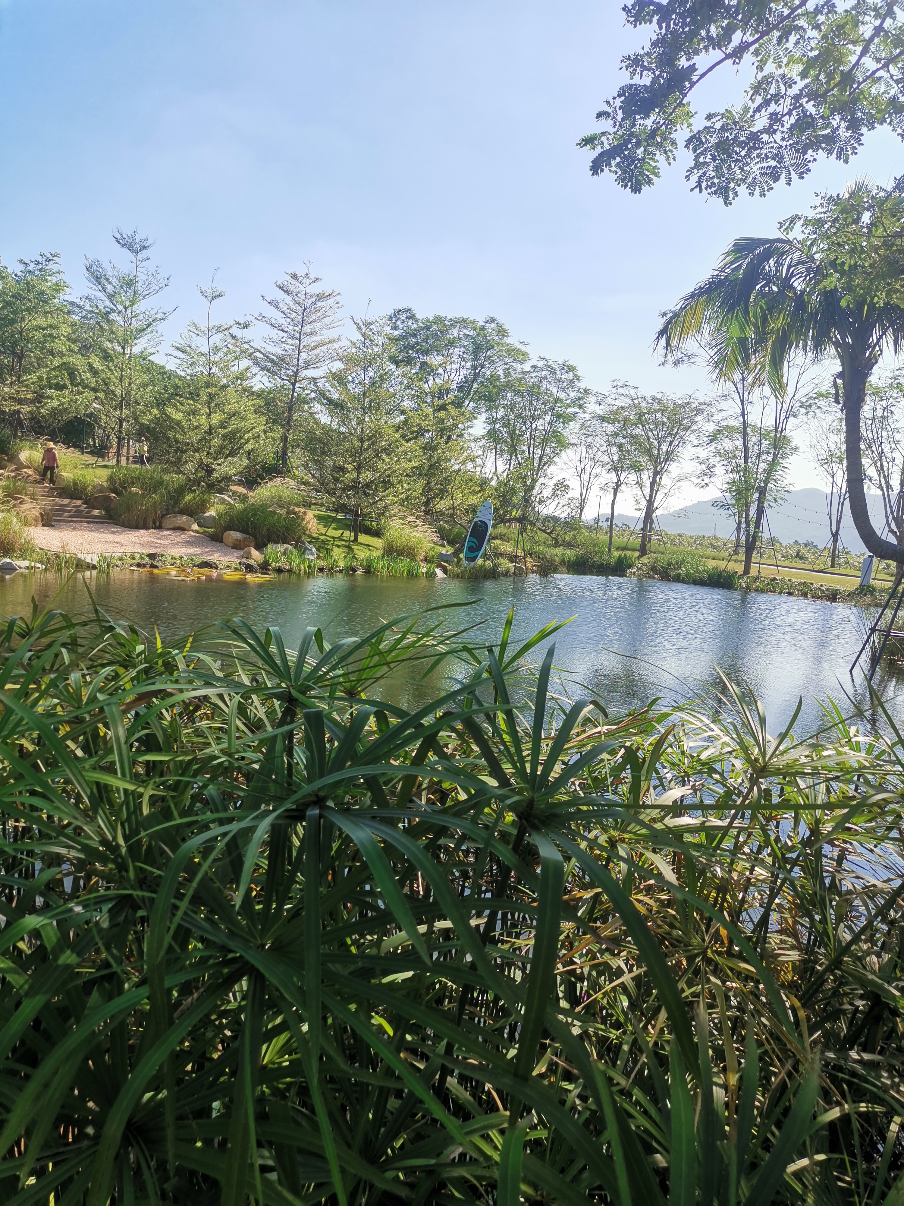 海岛草原在丘陵