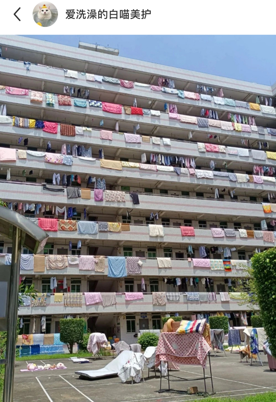 论女大学生晒被子能有多拼!