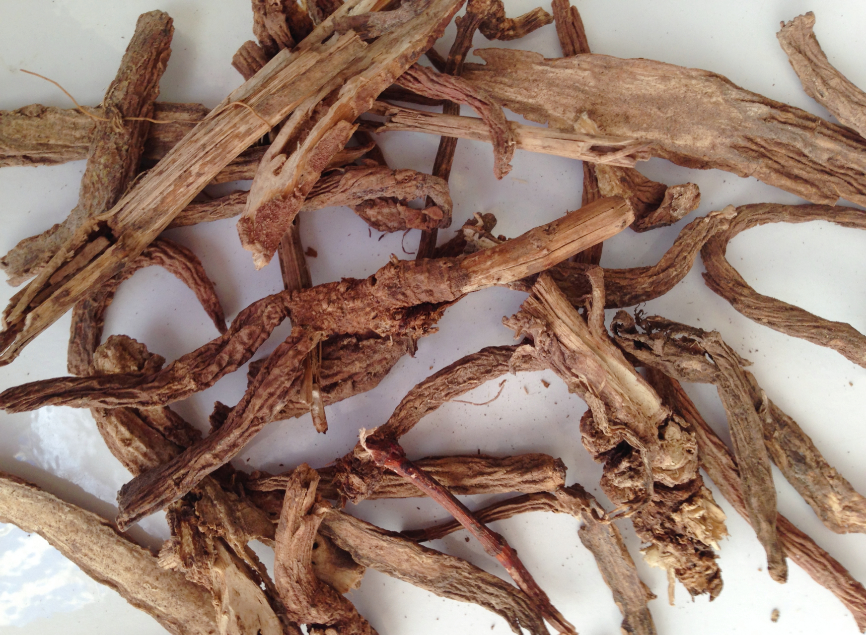 每天学一味中药-续断,续断来源采收时间,续断别名如何鉴别真假  来源