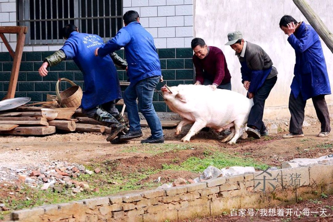 杀猪台图片大全图片