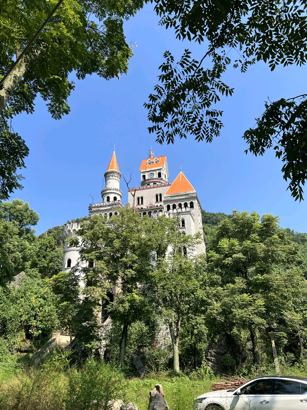 欧式建筑修得非常漂亮,被称重庆九龙坡网红楼,名为霸下意城堡,龙生