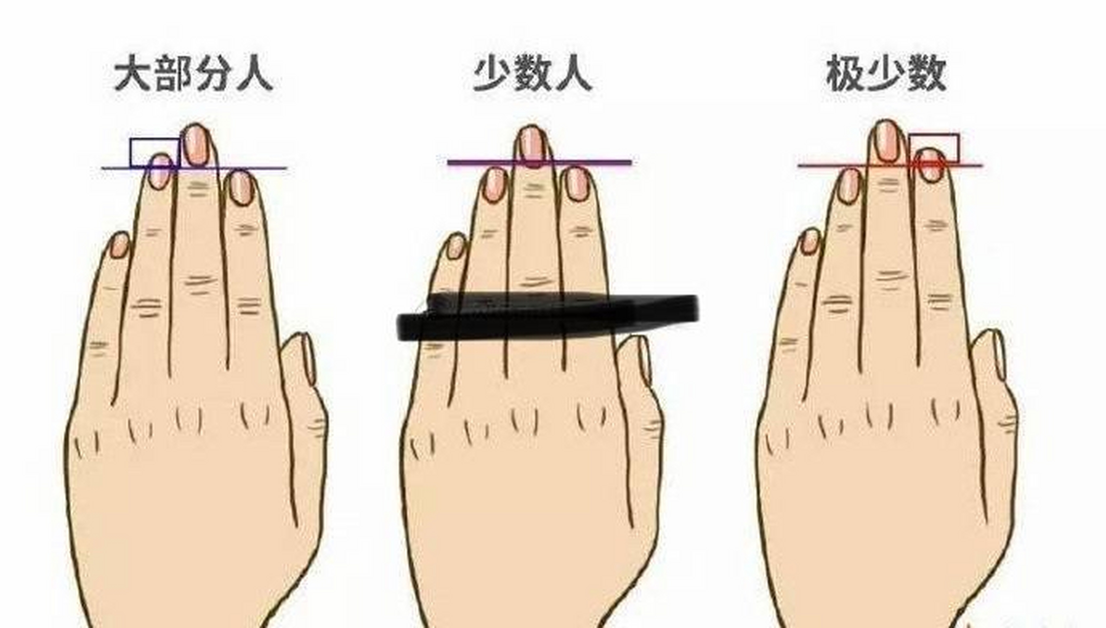 [吃瓜]  1,无名指长于食指,性格很要强,不管表面做得多么和善亲近