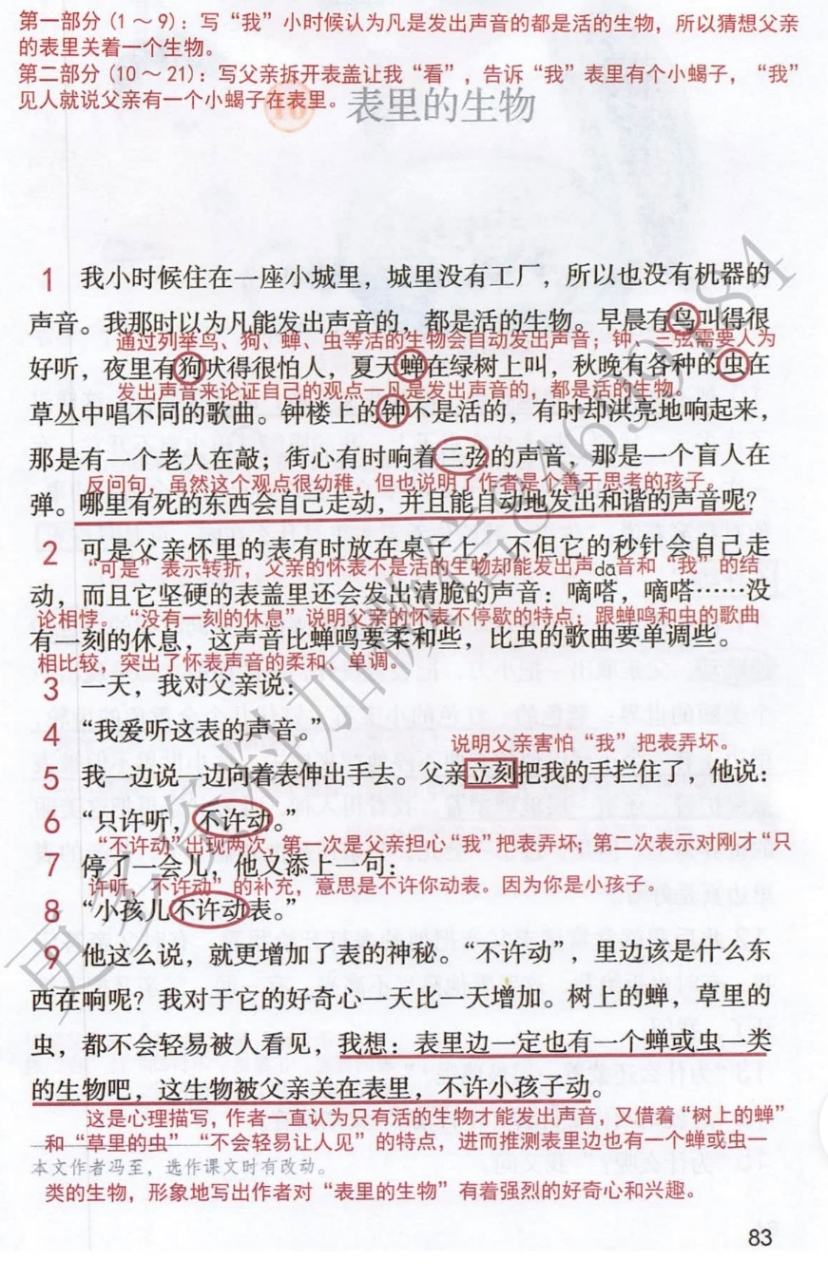六年级语文下册第十六课《表里的生物》课堂笔记