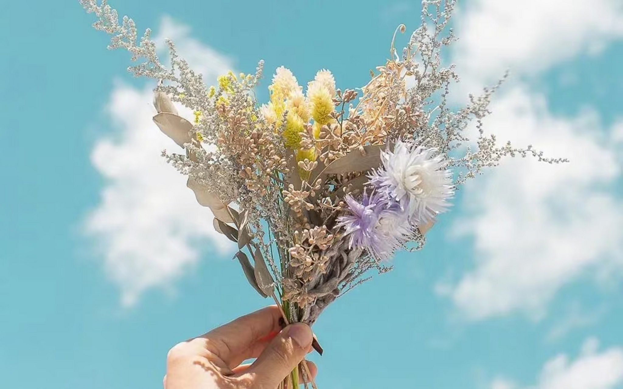 做一个从容淡然的人,不急不躁,安静地前往,不刻意关注结果,更用心于