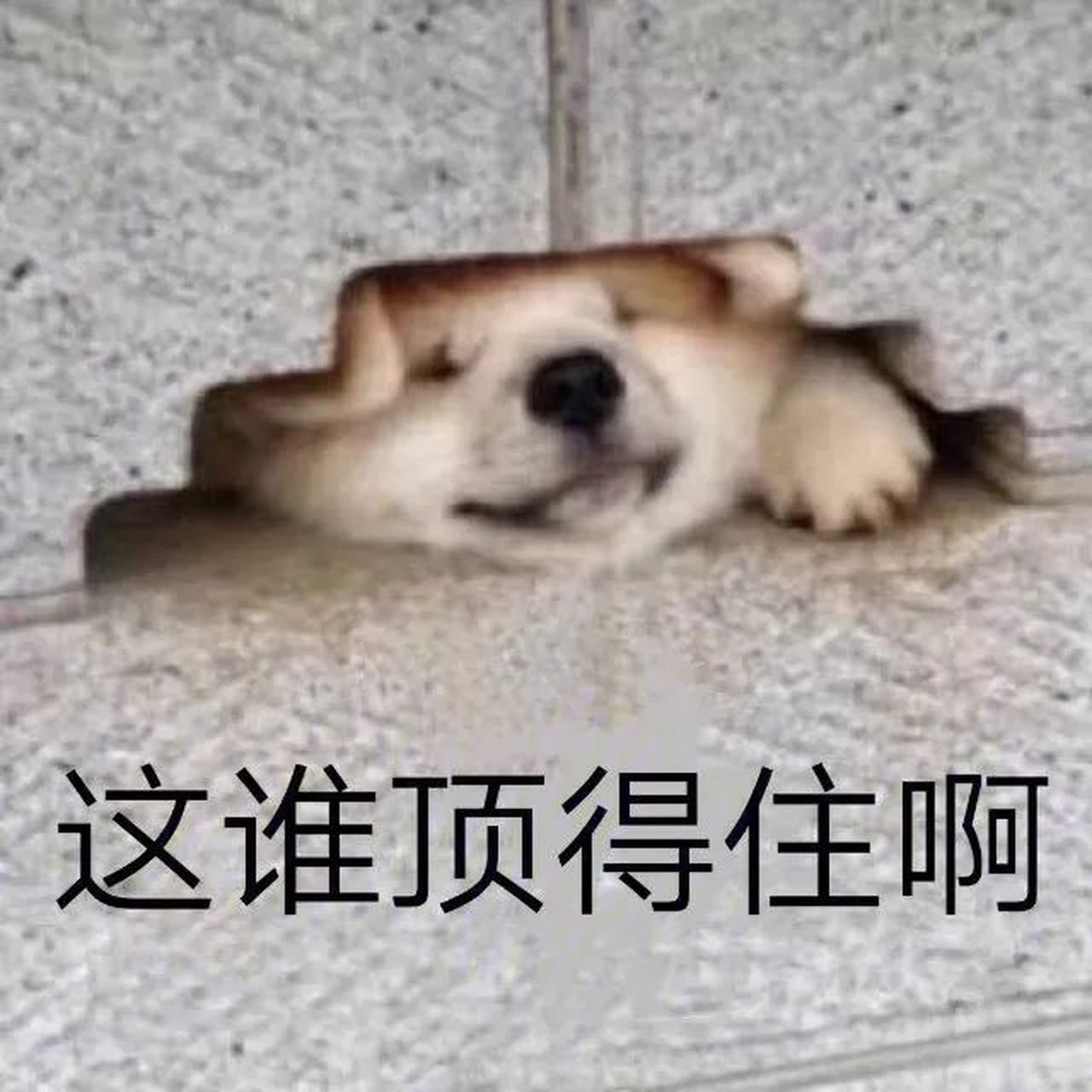 顶不住