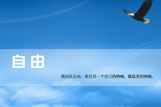 坚持~关于我想要的自由!