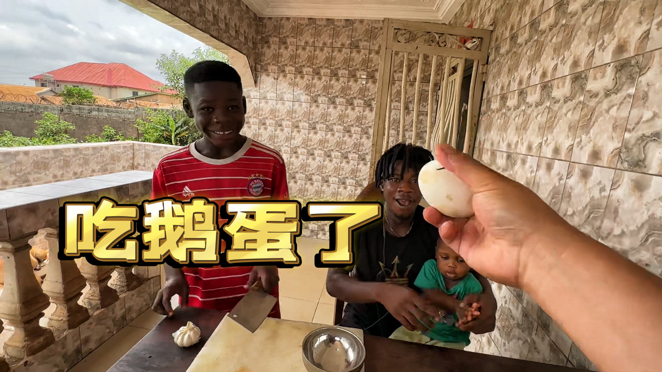 鹅蛋孵化13天了,孩子们都从未见过,今天尝尝炒鹅蛋到底什么味儿