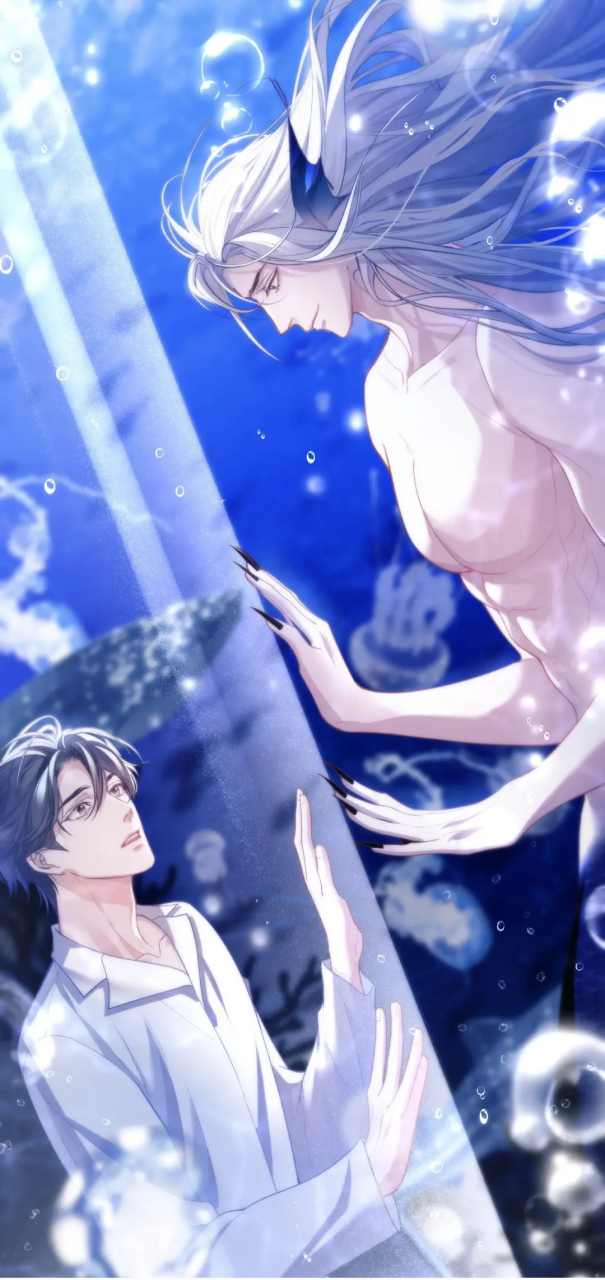 德萨罗人鱼深海先生# 高清壁纸!大家最喜欢哪一张呢?