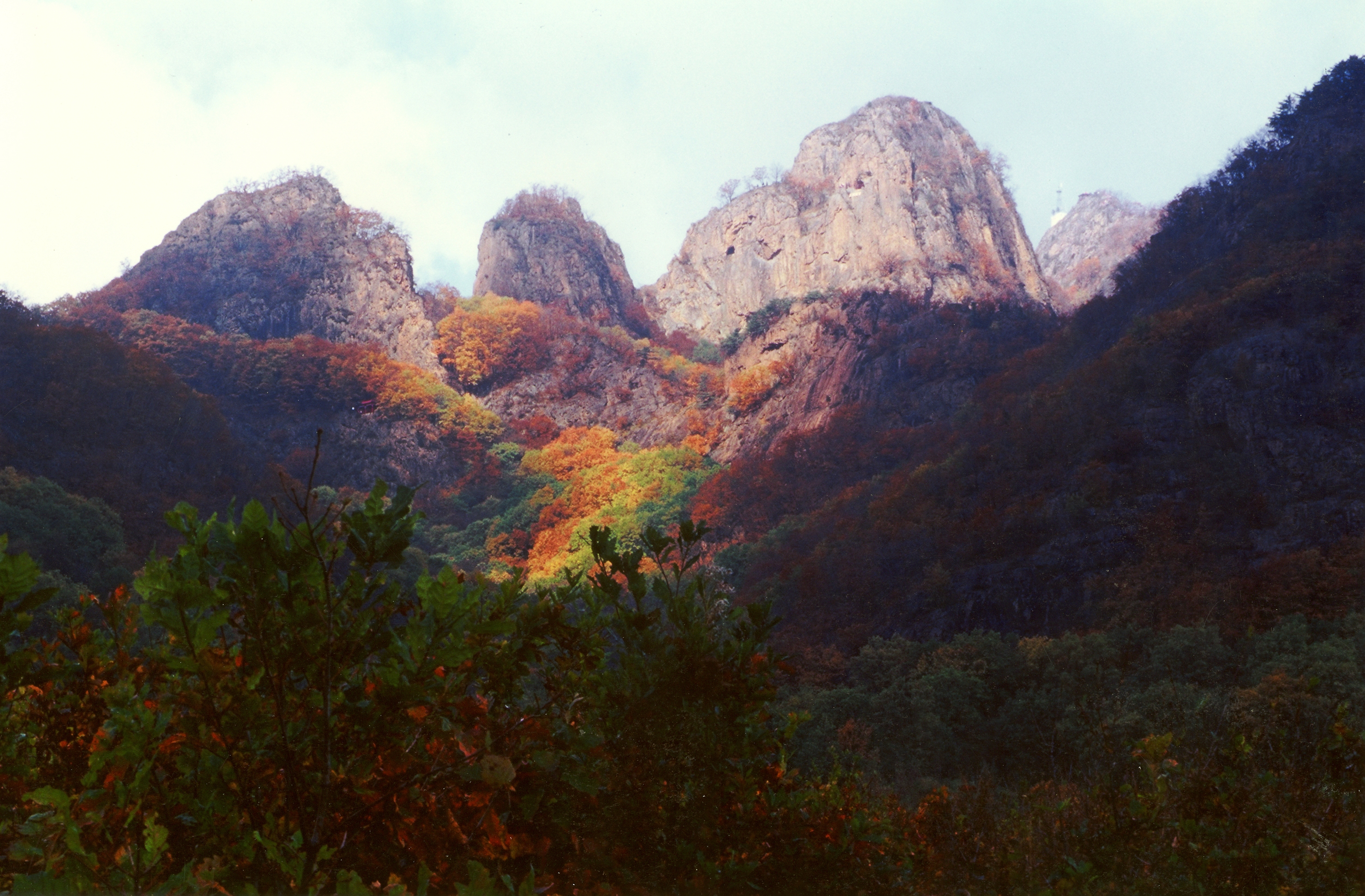 百首诗韵拉法山(二)