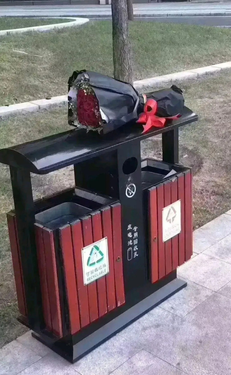 在垃圾桶里面捡的,以后看到扔掉的花一定要去翻一翻呀97