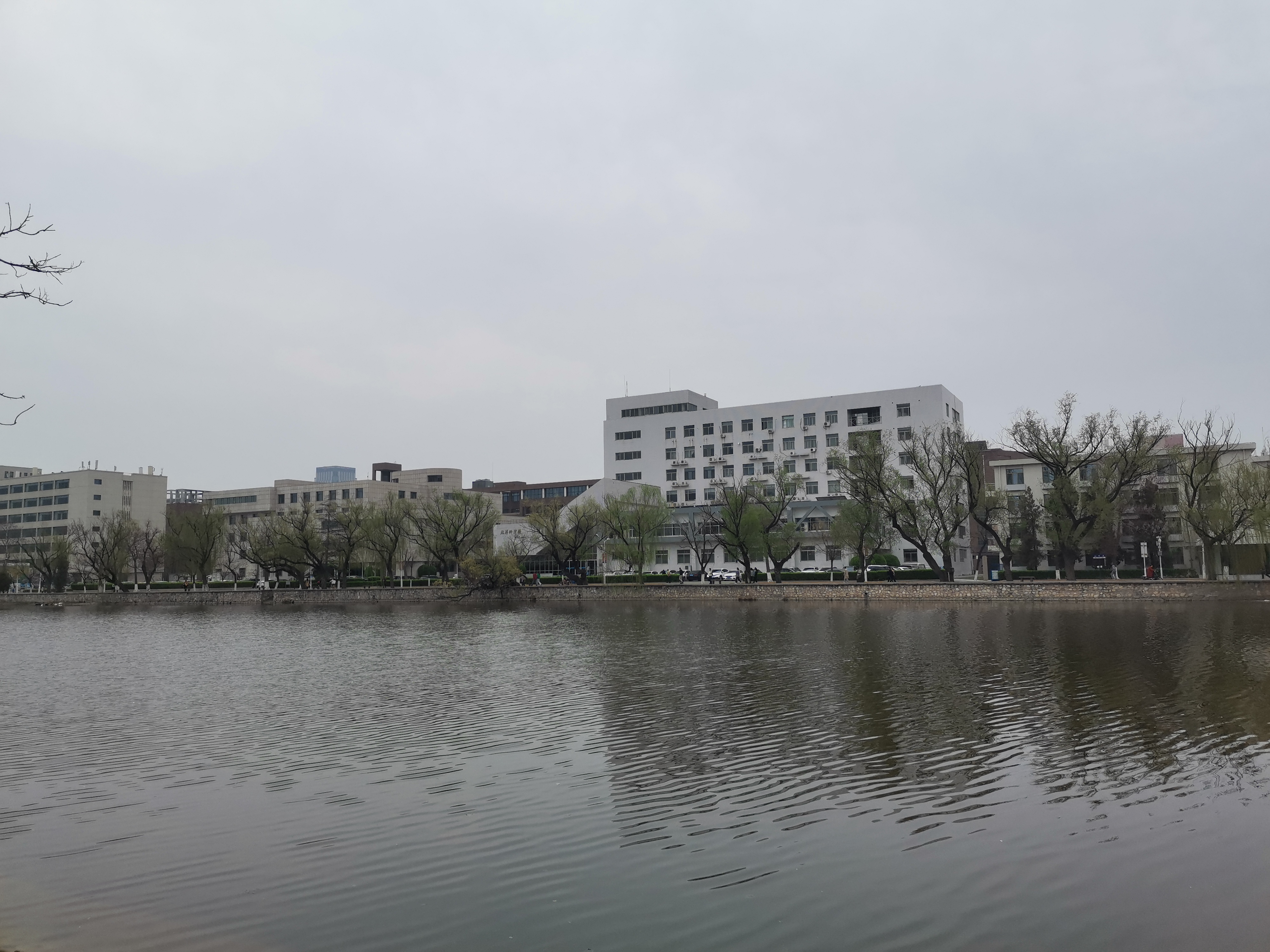 天津大学青年湖